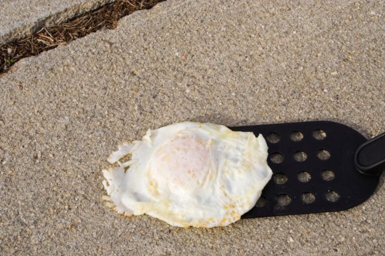 Frying an Egg on the Sidewalk